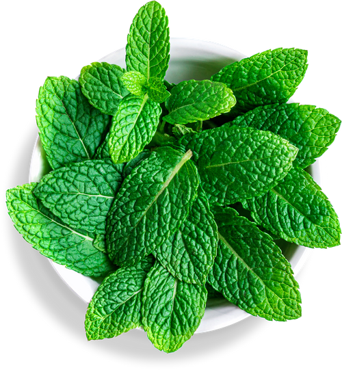 A bowl of mint used for decoration.