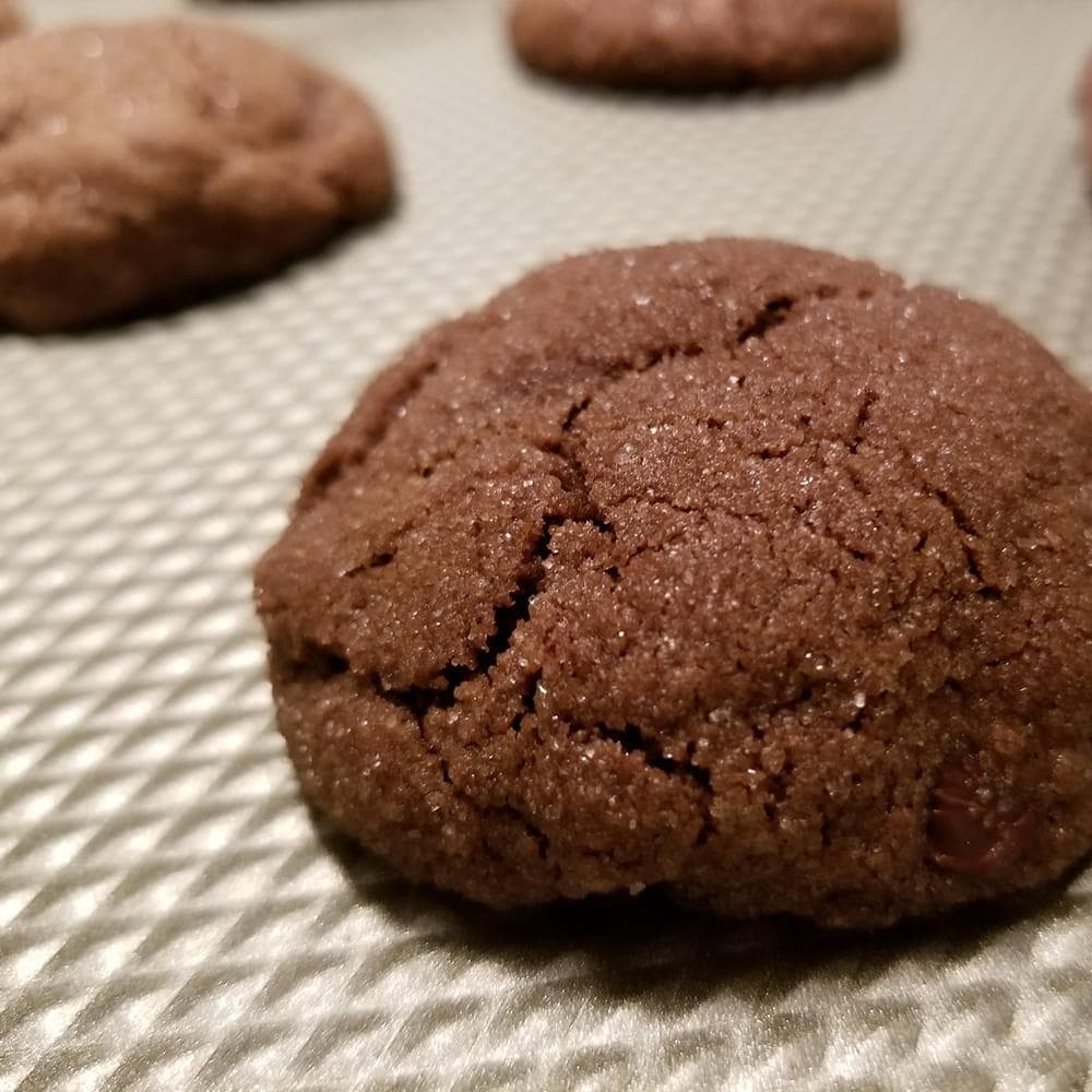 A closeup of a cookie